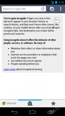 Google Chrome
