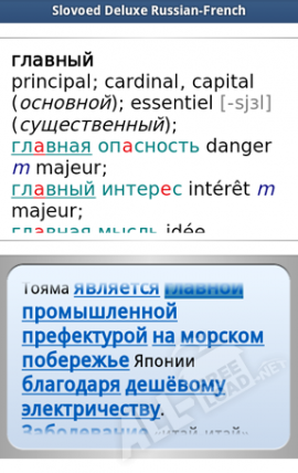 Русско-французский словарь