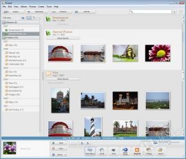 Picasa (Google Фото)