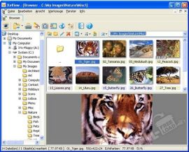 XnView