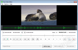 Free Video Editor