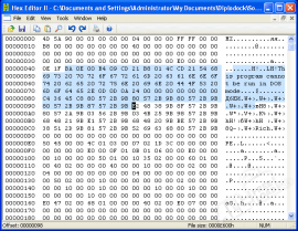 Hex Editor
