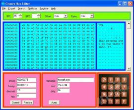 Hex Editor